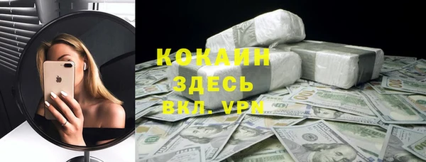 apvp Алзамай