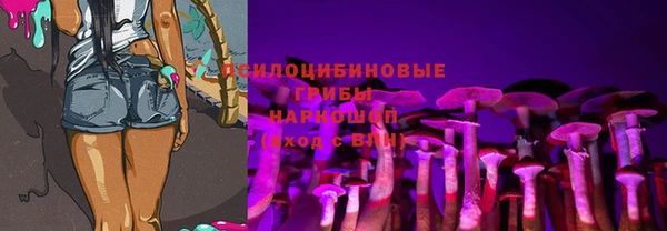 наркотики Алексин