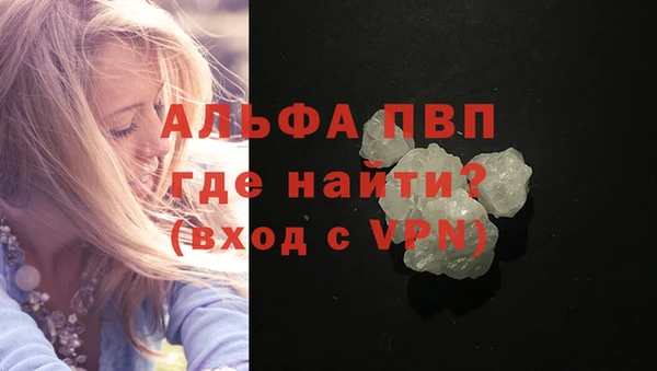 apvp Алзамай