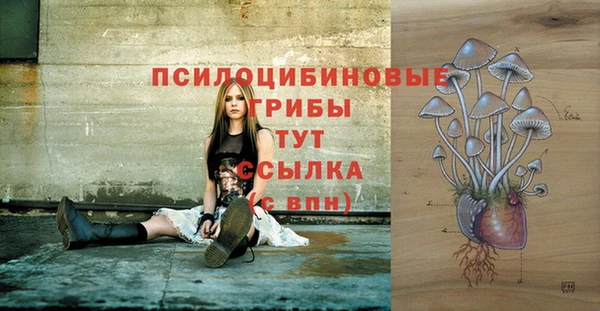 индика Алексеевка