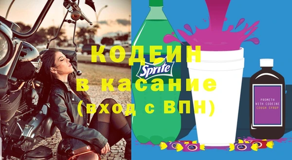 индика Алексеевка